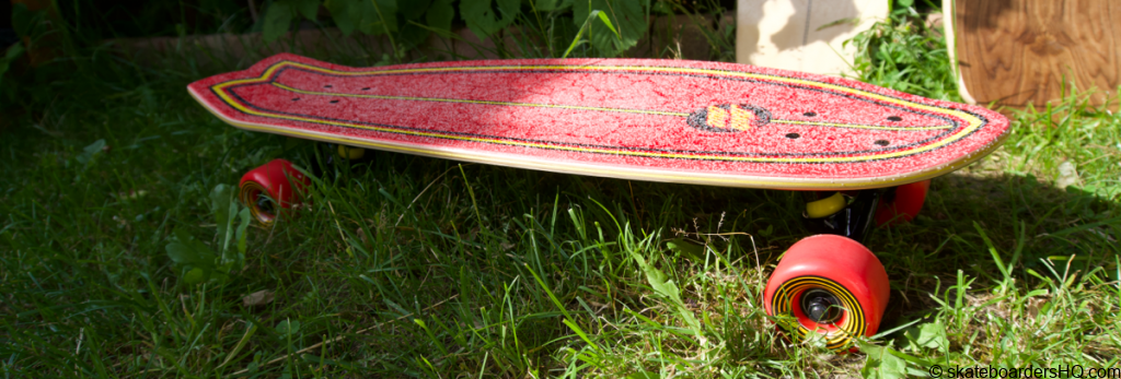 Santa Cruz Mini Cruiser in the grass